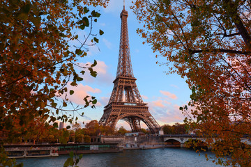 Fototapeta na wymiar The Eiffel tower and autumnal trees in the foreground.