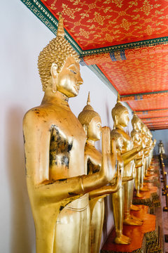 Statues of Buddha placed in row