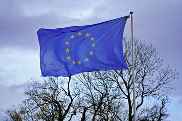 Flag of European Union against an overcast sky and bare trees in November