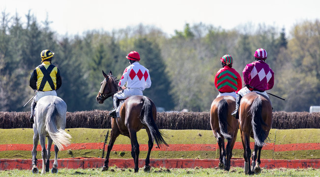horse riders on the race track infront of a hurdle jump