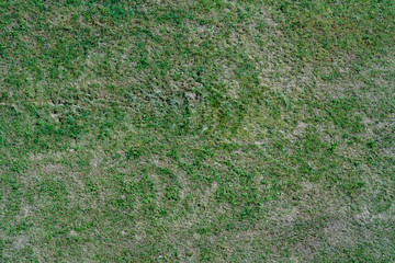 Texture of grass in the fall