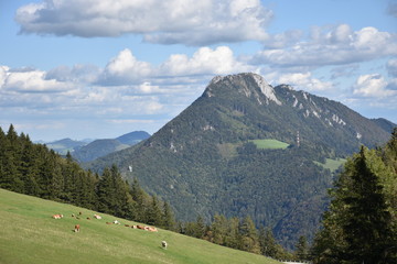 Hohe Dirn, Losenstein, Alpenvorland, Voralpen, Oberösterreich, Traunviertel, Steyr-Land, Ortschaft, Aussicht, Alpen, Tal, Herbst, Burg, Burg Losenstein, Ruine, Natur