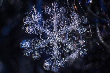 Snowflake extreme macro