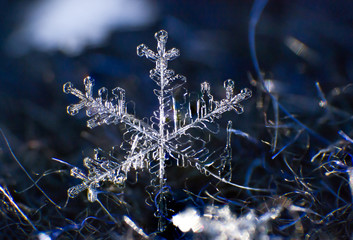 Snowflake extreme macro closeup