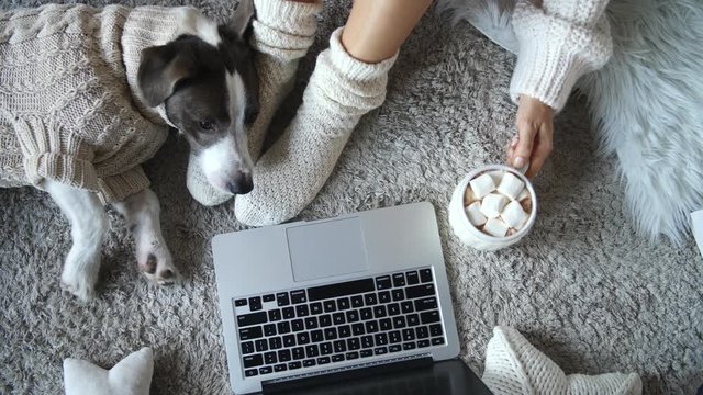 Woman In Cozy Home Drinking Hot Chocolate Wearing Socks And Using Laptop