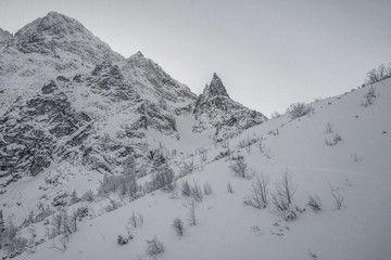 Morskie oko  zimą   © slawjanek