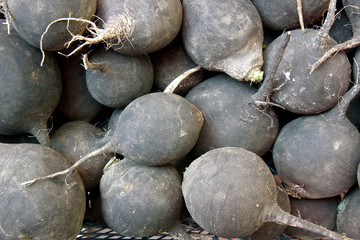 Grey turnip on market. Natural turnip