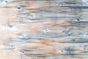 pastel color old wood plank texture background