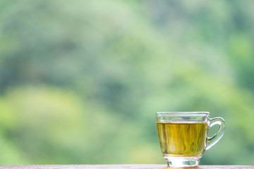 a glass cup of hot tea. green nature forest background. look like healthy and fresh