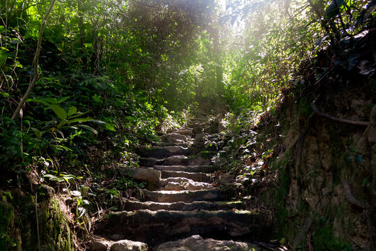 Caminho encantado