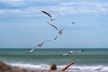 Seagulls flying on the sandd in the beach  