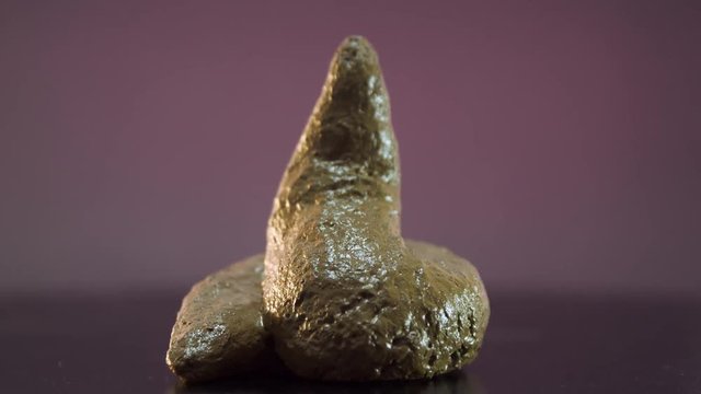 Realistic human feces rotating 360 degrees. Or dog feces.
