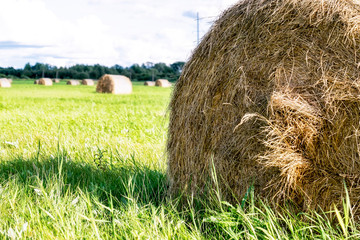 hay roll