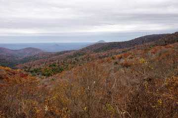 Fototapeta na wymiar Blue Ridge Mountains of the Chattahoochee National Forest Georgia USA