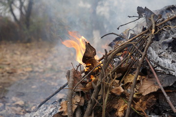 Burning leafs, flames, ash backgrounds and textures