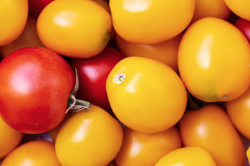 yellow and red tomatoes of different colors as a background.