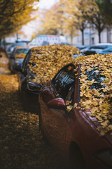 Moody day in the city. Orange, yellow leaves on the cars during a autumn period. Prague city in a Europe. Fall background with vehicles on the street. Cars covered by leaves.