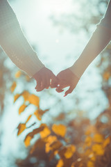 Loving couple holding hands in nature