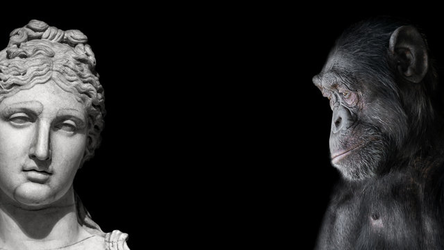 Collage of two contrast portraits of Chimpanzee and beautiful Roman woman in stone at black background, details, paste space