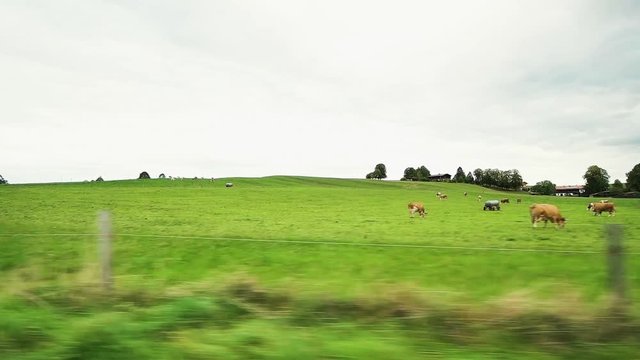 window view from a train while passing meadows in Europe