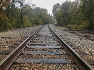 Fototapeta premium Train tracks in autumn forest on rainy day 1