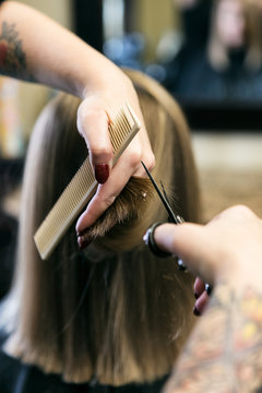 Salon: Salon Stylist Trims Customer Hair