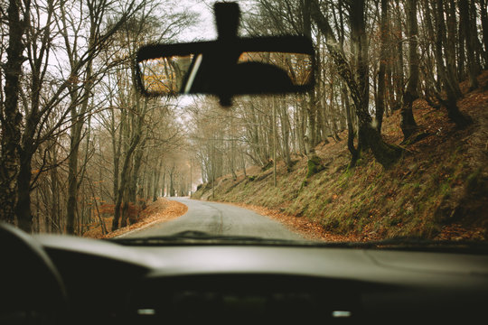 Driving in the forest