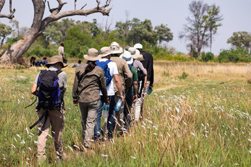 Safari in Botswana