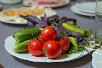 Salad inside the bowl . Cucumbers, tomatoes, peppers, basil