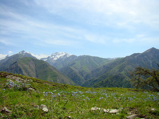 Fototapeta na wymiar view of the Caucasus Mountains