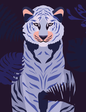 king of the jungle2