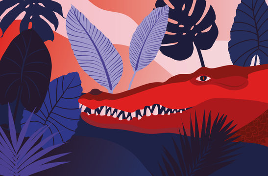 Illustration, Krokodil, Dschungel, Rot, Tier