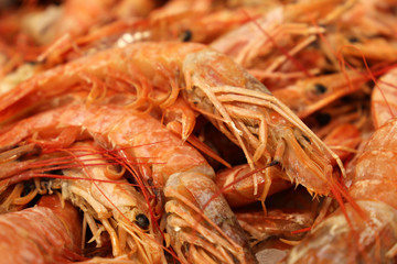 Fresh shrimp close-up. Seafood on fish market