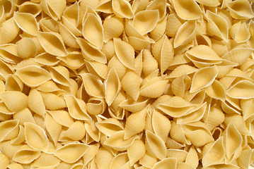 Pasta shells, close up