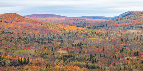 Fall foliage vista of the Superior National Forest on North Shore of Lake Superior. - 232684985
