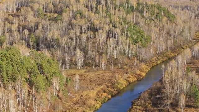 Siberian nature at the beginning of autumn. Source of the river Berd. Typical Russian landscape. Video clip.
