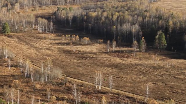 Siberian nature at the beginning of autumn. Source of the river Berd. Typical Russian landscape. Video clip.
