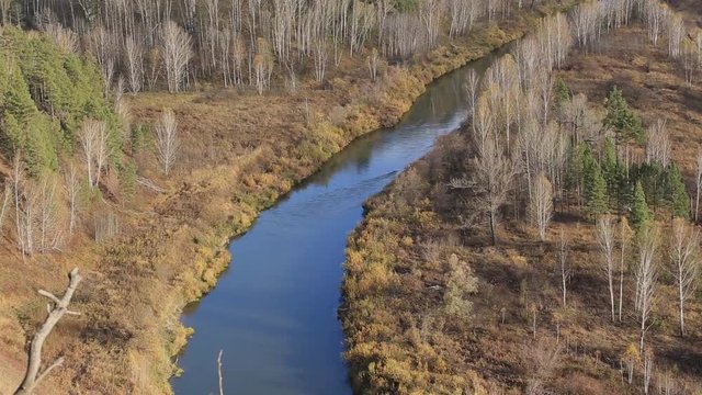 Siberian nature at the beginning of autumn. Source of the river Berd. Typical Russian landscape. Video clip.
