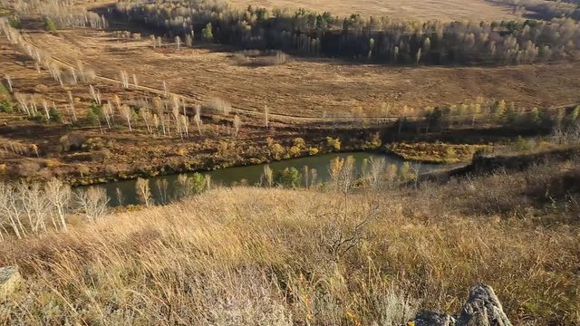 Siberian nature at the beginning of autumn. Source of the river Berd. Typical Russian landscape. Video clip.