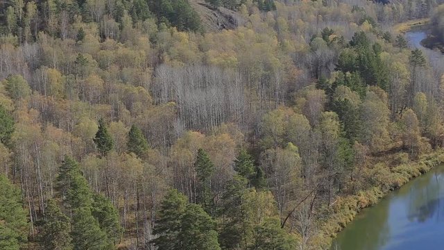 Siberian nature at the beginning of autumn. Source of the river Berd. Typical Russian landscape. Video clip.