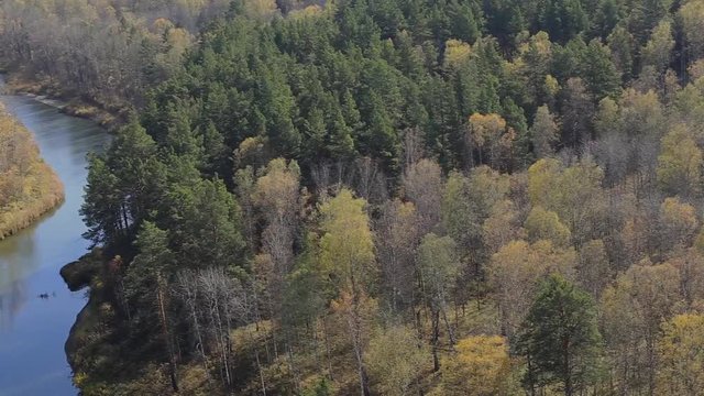 Source of the river Berd. Autumn in Siberia. Bright colors of September. Video clip.