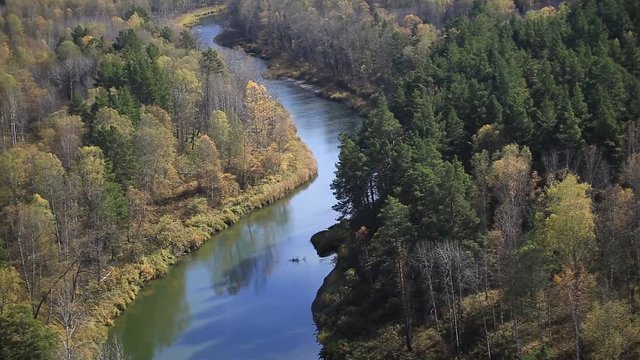 Source of the river Berd. Autumn in Siberia. Bright colors of September. Video clip.