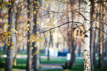beautiful birdhouse in the shape of a house hanging on a tree