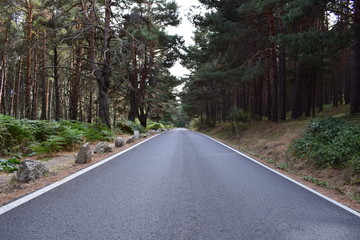 Obraz premium Mountain Road