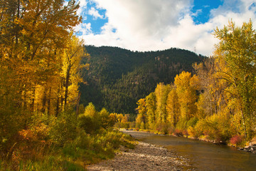 Rock Creek, Montana, Rocky Mountains, Fall