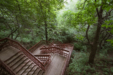 Wooden stairs in the park, descent from the top of the hill.