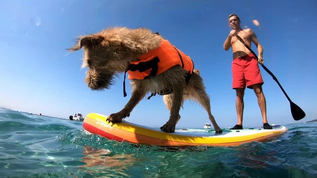 A man supping with his dog in slow motion