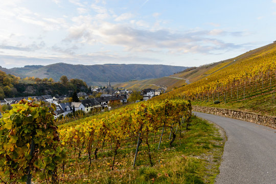 Romantische Herbststimmung in den Weinbergen von Neumagen-Dhron an der Mosel