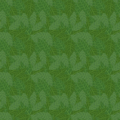 Branch of holly with leaves. Seamless pattern. Vector Illustration