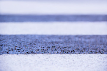 Zebra crosswalk on a asphalt road - closeup background